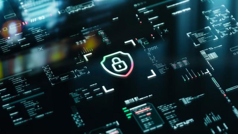 金沙县软件开发公司